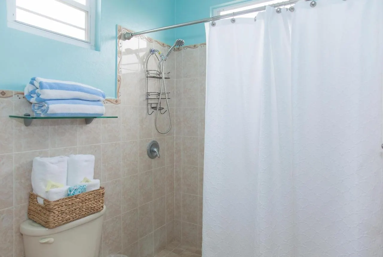 Coco Loco Ocean Views, Balcony, Pool, Laundry Apartment Rincon 0*,