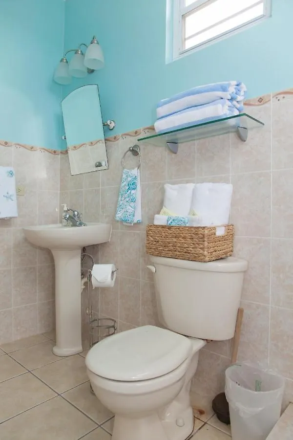 Coco Loco Ocean Views, Balcony, Pool, Laundry Appartamento Rincon